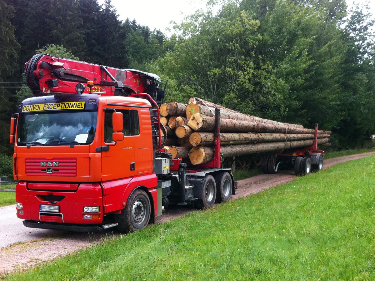 Langholz-Transport